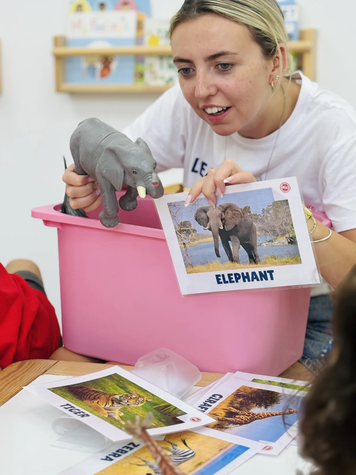 Animal vocabulary